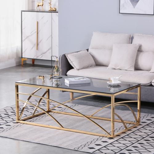 Stainless Steel Rectangular Accent Glass Coffee Table for Living Room- 46.8" Modern Sleek Center Tab