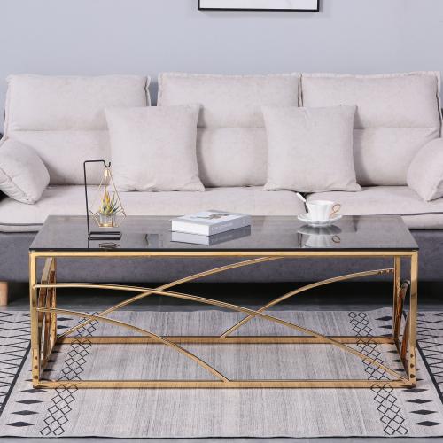 Stainless Steel Rectangular Accent Glass Coffee Table for Living Room- 46.8" Modern Sleek Center Tab